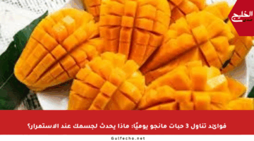 فوائد تناول 3 حبات مانجو يوميًا: ماذا يحدث لجسمك عند الاستمرار؟